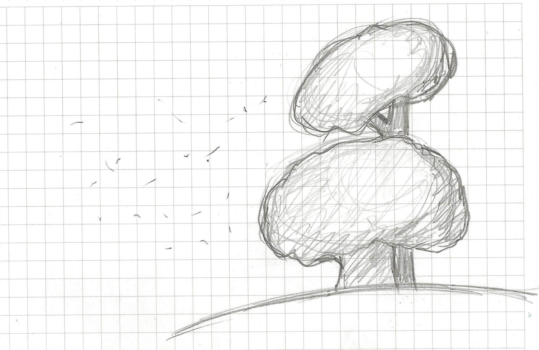 Nuestra inspiración: pino y encina, árboles base del decálogo y de Ilexina