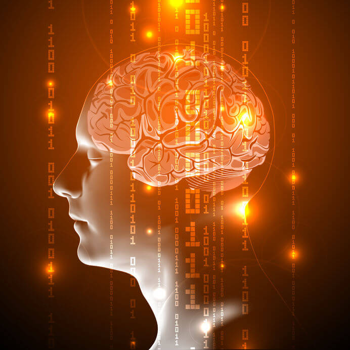 Sistema nervioso y nootrópicos