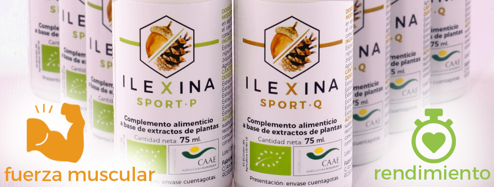 Ilexina Sport P y Sport Q: adaptógeno hormonal deportivo