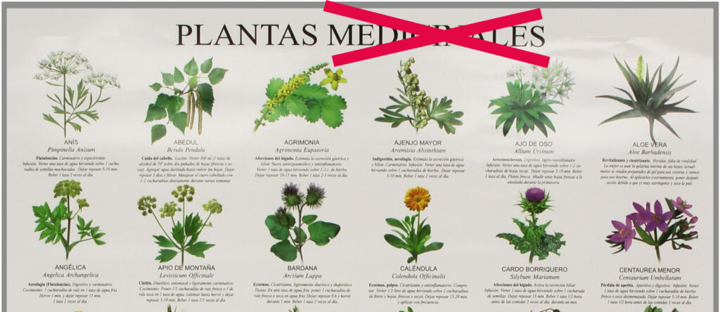 Las normativa europea no permite hablar de cualidades medicinales de las plantas